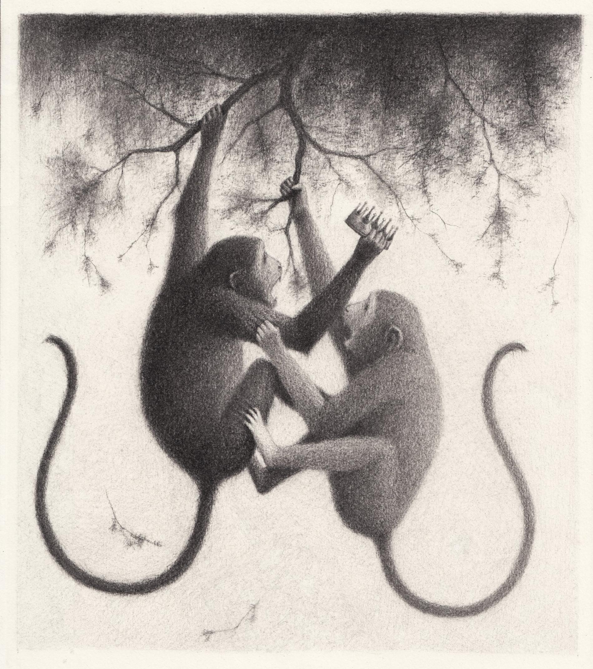 ilustracion en blanco y negro de monos