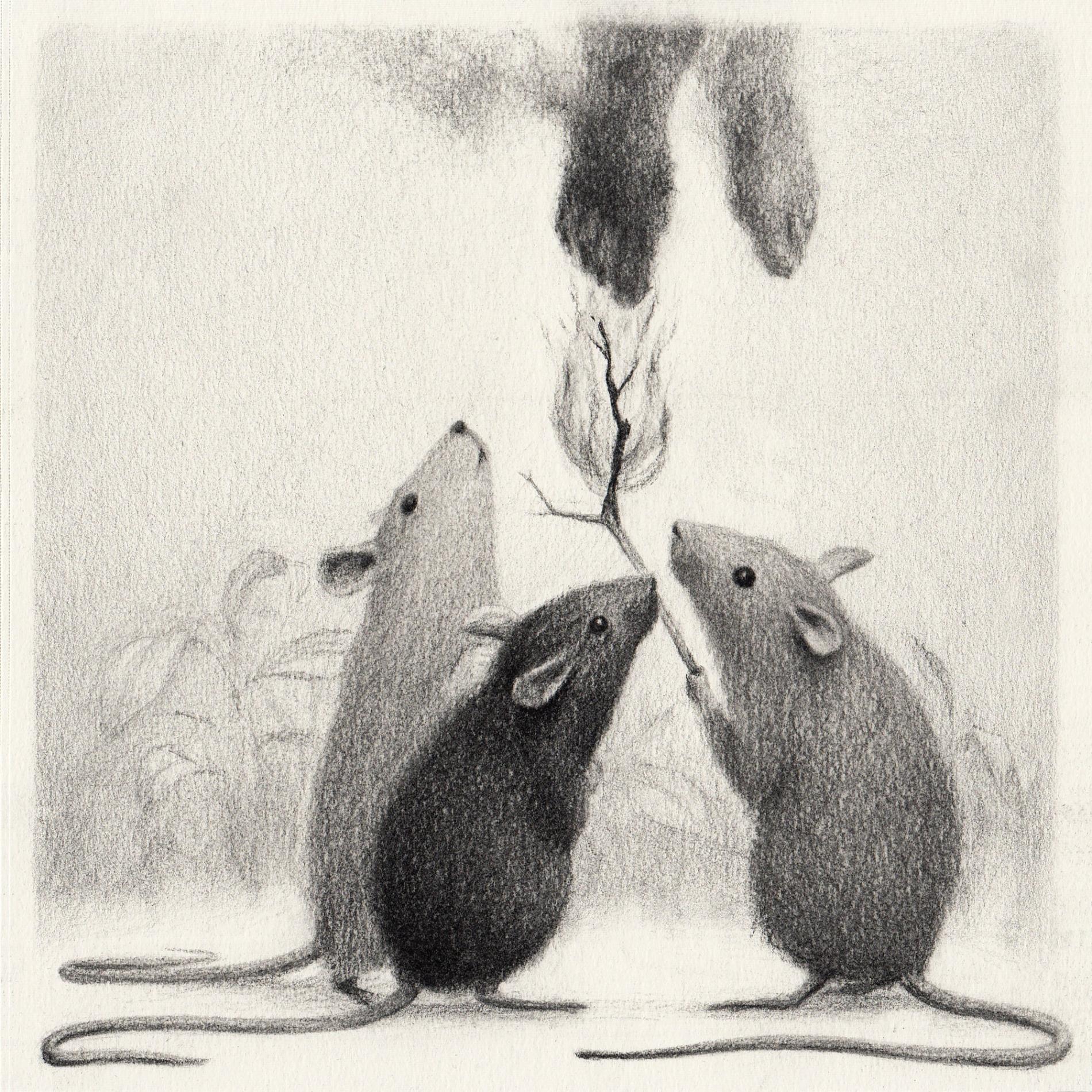 ilustracion en blanco y negro de ratones reunidos