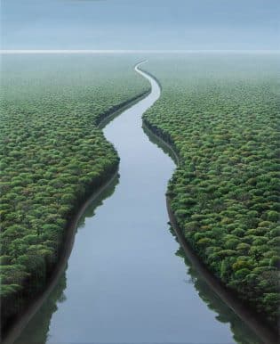 rio en medio de una selva inmensa creada por tomas sanchez reinventor del arte del paisaje a traves de estados meditaivos