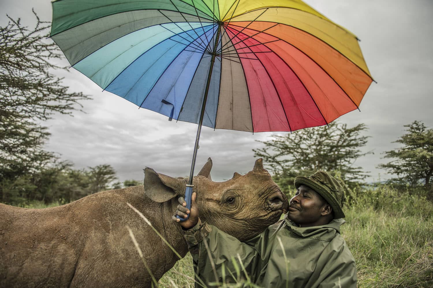 Ami_Vitale fotografia de naturaleza para salvar el medio ambiente, rinoseronte negro