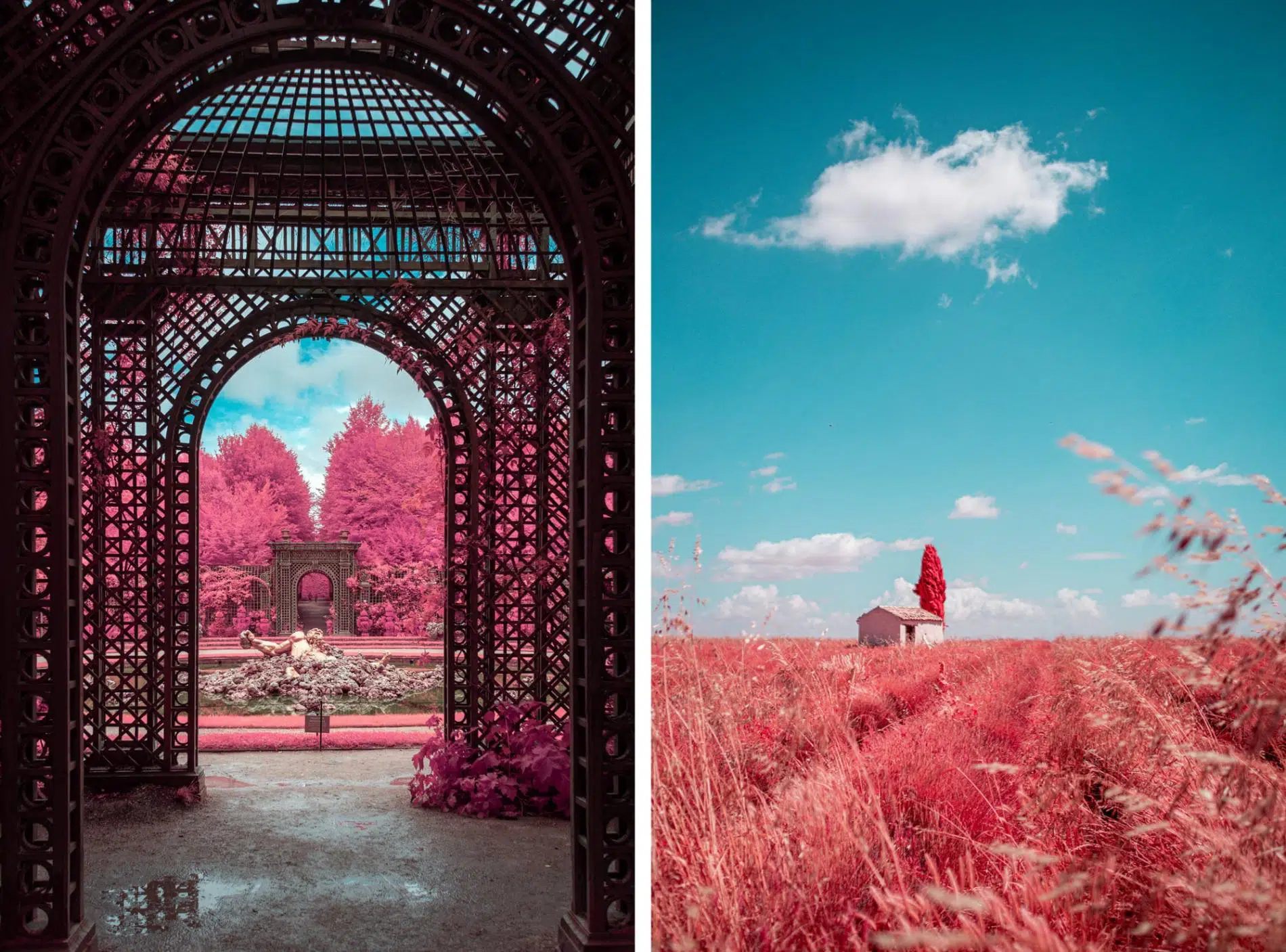 fotografia infrajoga de Paolo Pettigiani jardin con arcos y espigas que se agitan