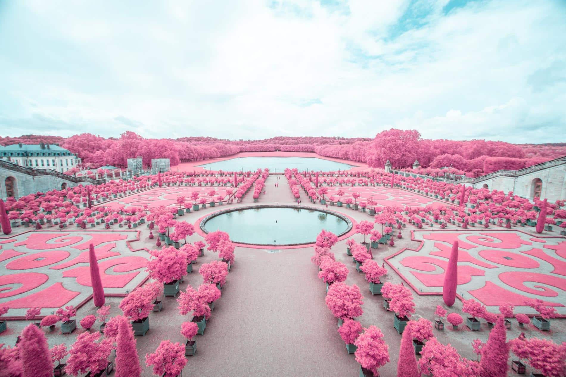 fotografia-infraroja-colores-rosa-jardin-de-versalles.jpg