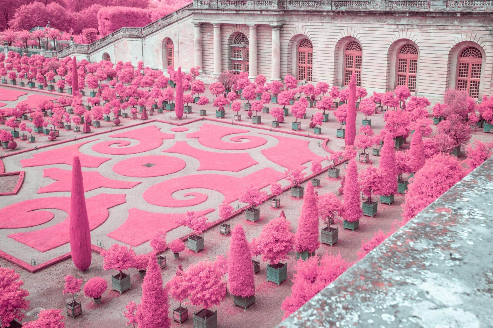 fotografia infraroja colores rosa jardin