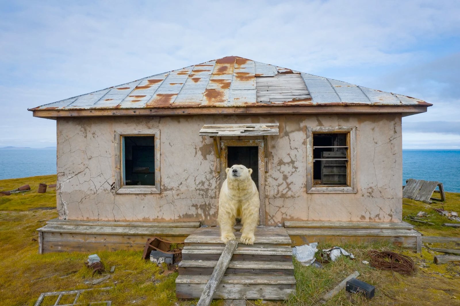 fotografia documental vida salvaje, osos polares Dmitry Kokh ocupas estacion en ruinas