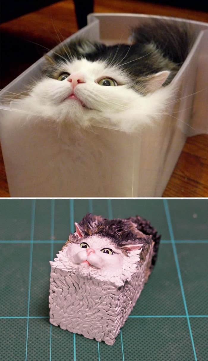 meetissai esculruras de memes de animales gato cuadrado