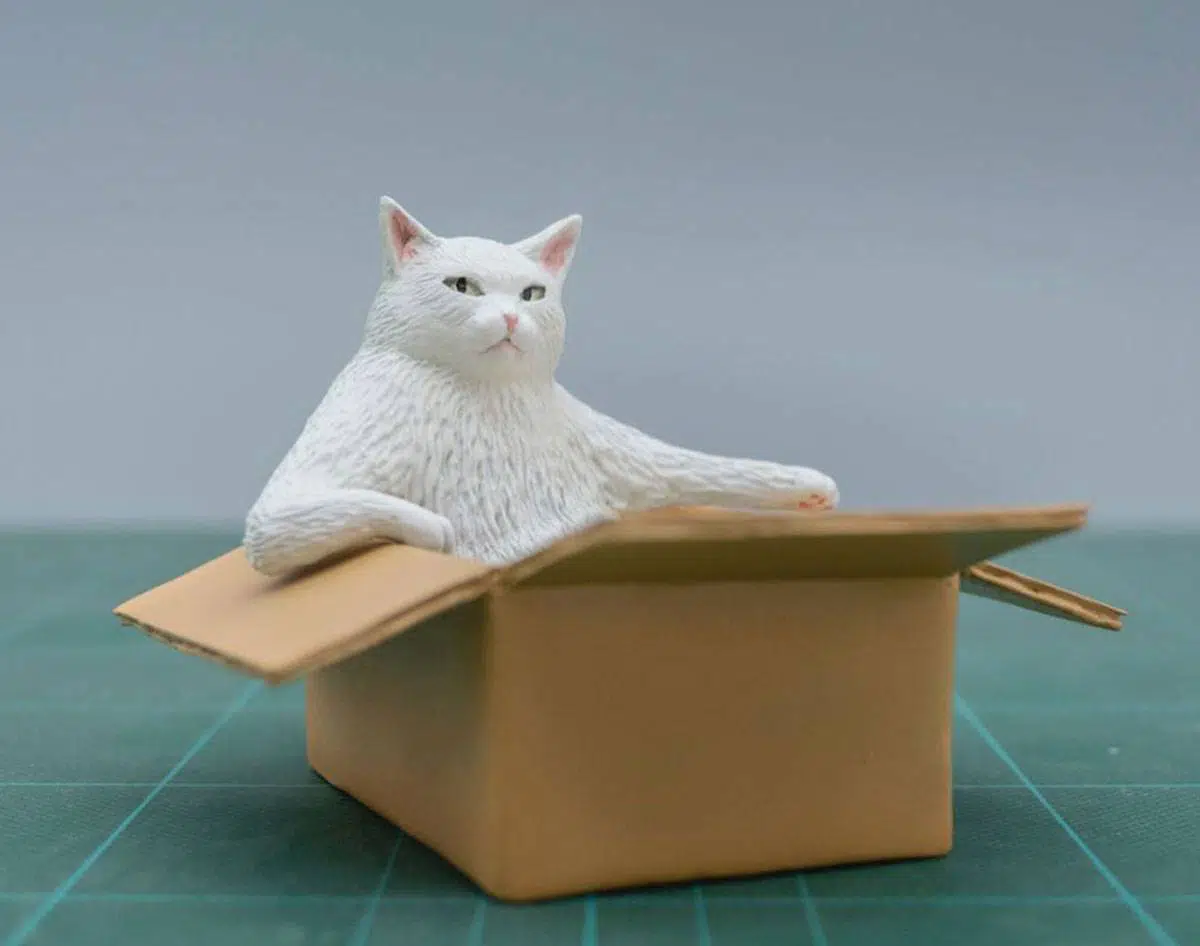 meetissai esculruras de memes de animales gato en caja