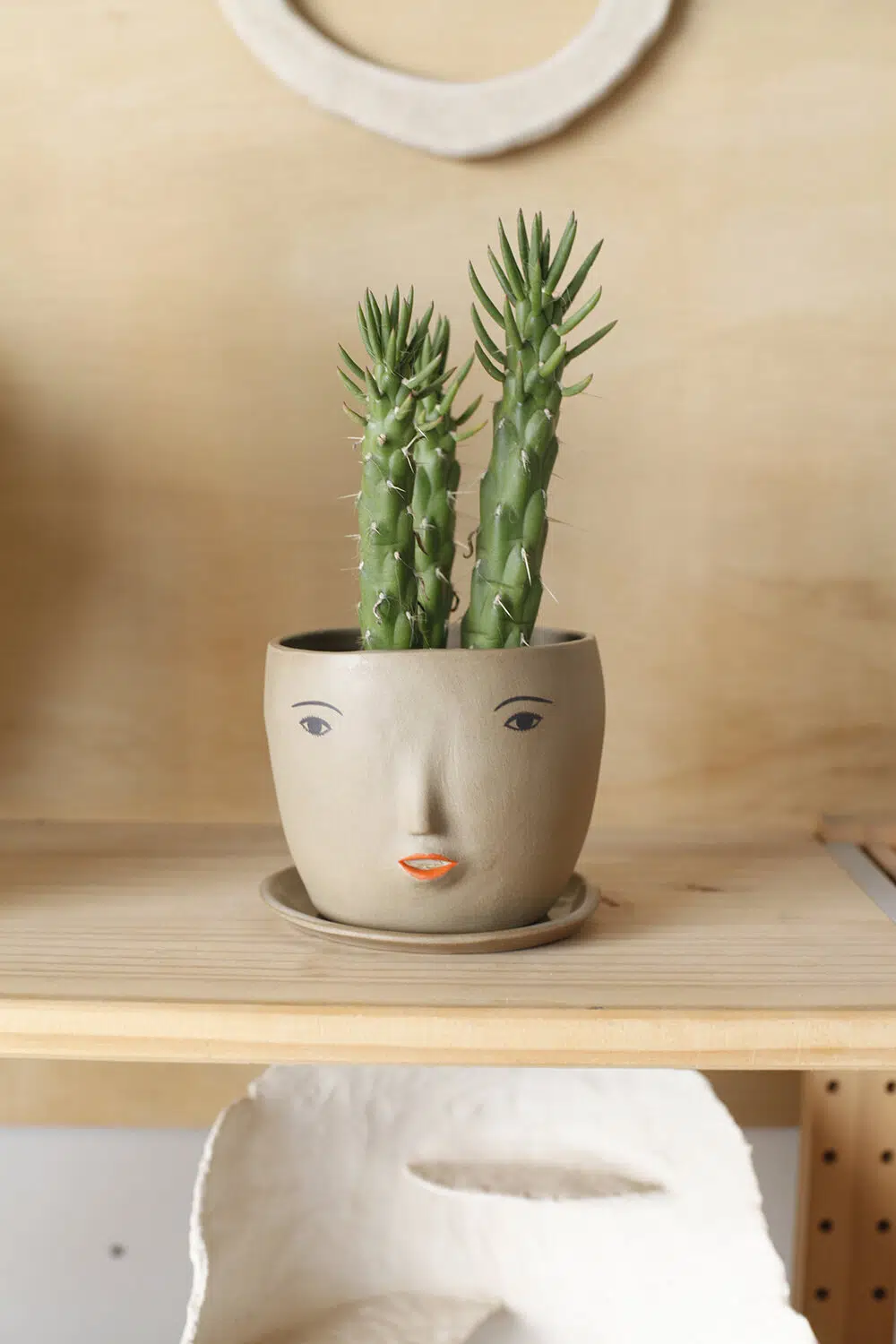 rami kim ceramista personajes en ceramica de uso funcional maceta cactus