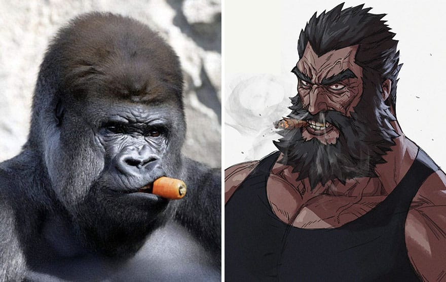 diseño de personajes nitro animales anime gorila