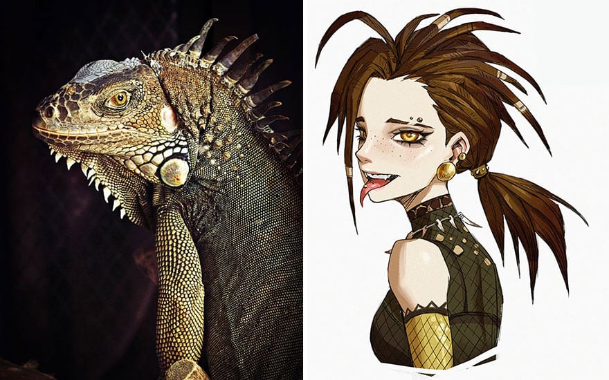diseño de personajes nitro animales anime iguana