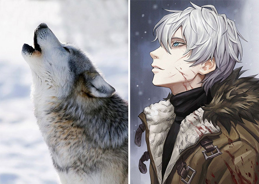 diseño de personajes nitro animales anime lobo