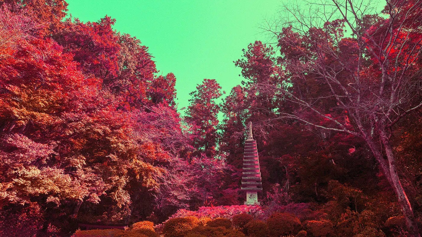 Hashira Yamamoto asuka serie fotografia infrarroja reinterpreta japon jardines