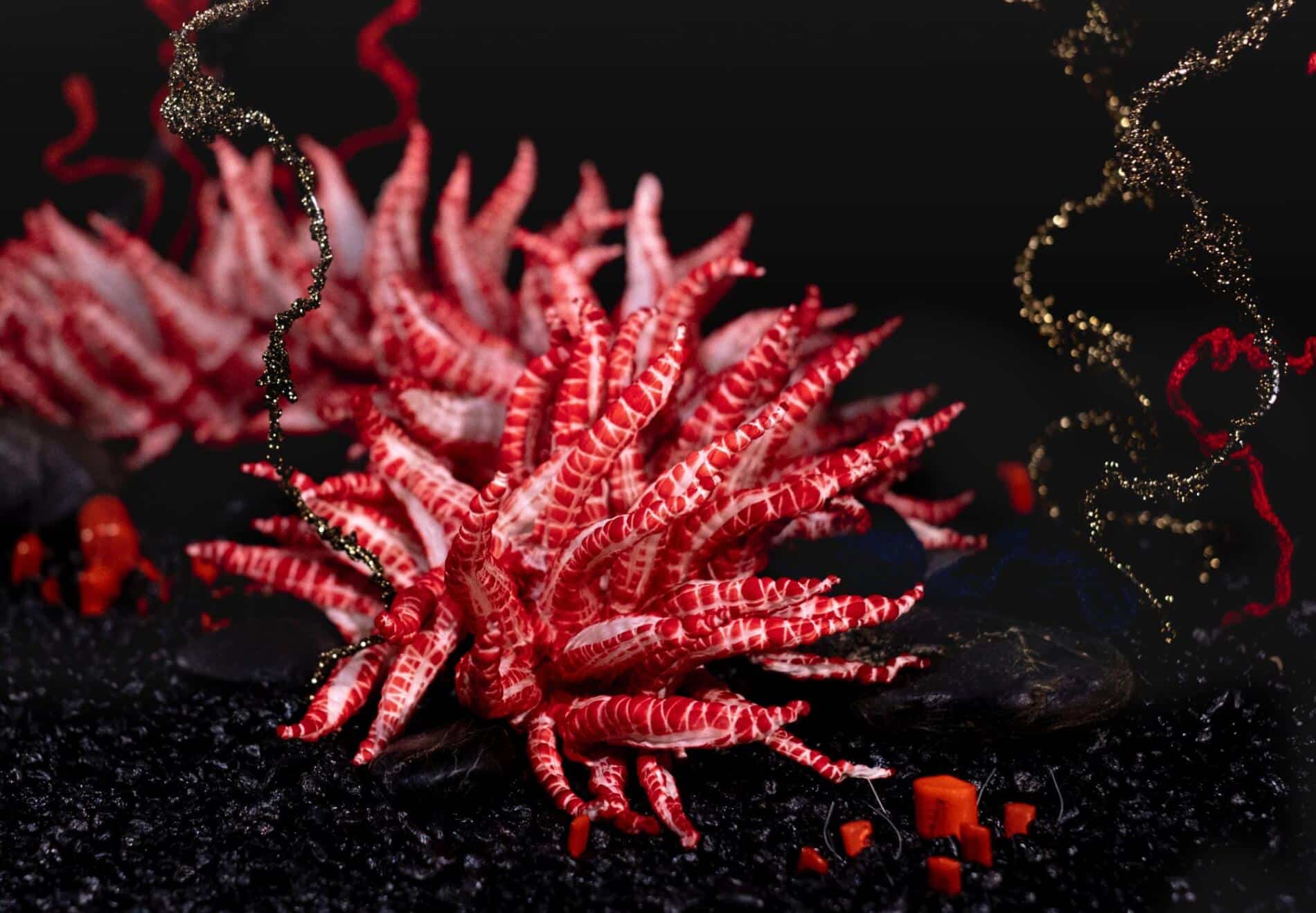 crochet coral reef escultura en ganchillo detalle salm