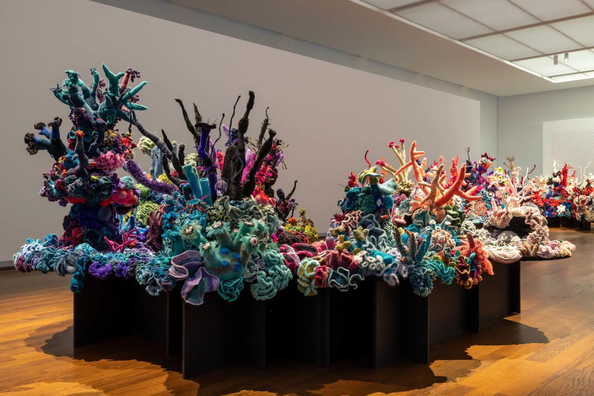 crochet coral reef escultura en ganchillo exposición