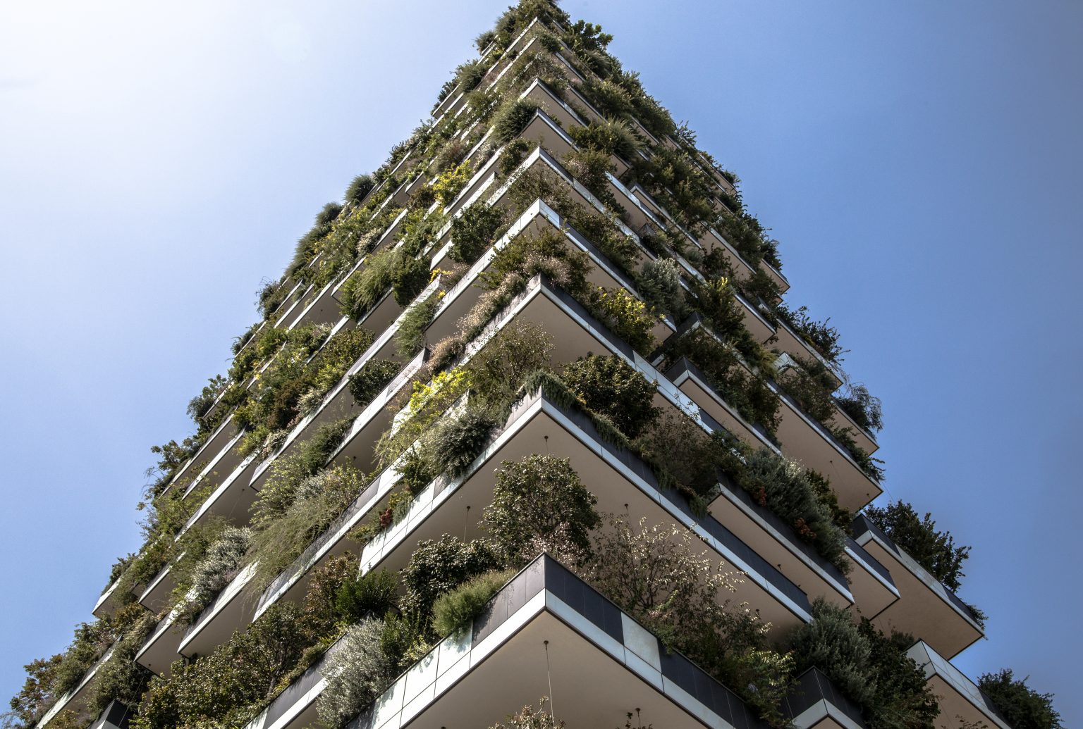 verticall forest diseño arquitecura sostenible