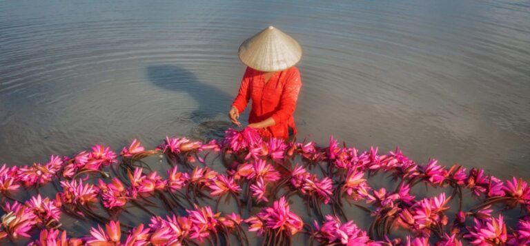 Pham Huy Trung fotografia aerea cosechas de vietnam flores