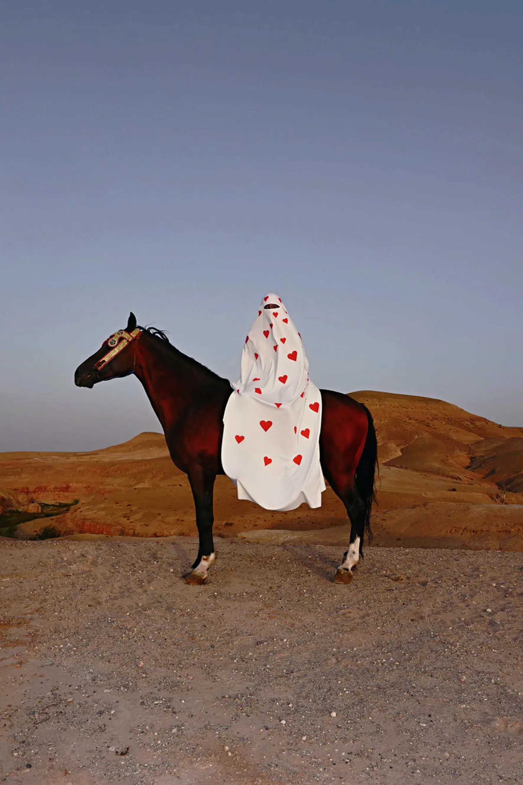 mous lamrabat fotografia de moda love horse