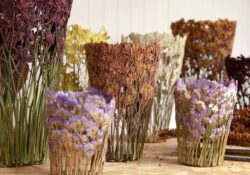 Shannon Clegg escultura biofilica flores secas y prensadas conexion