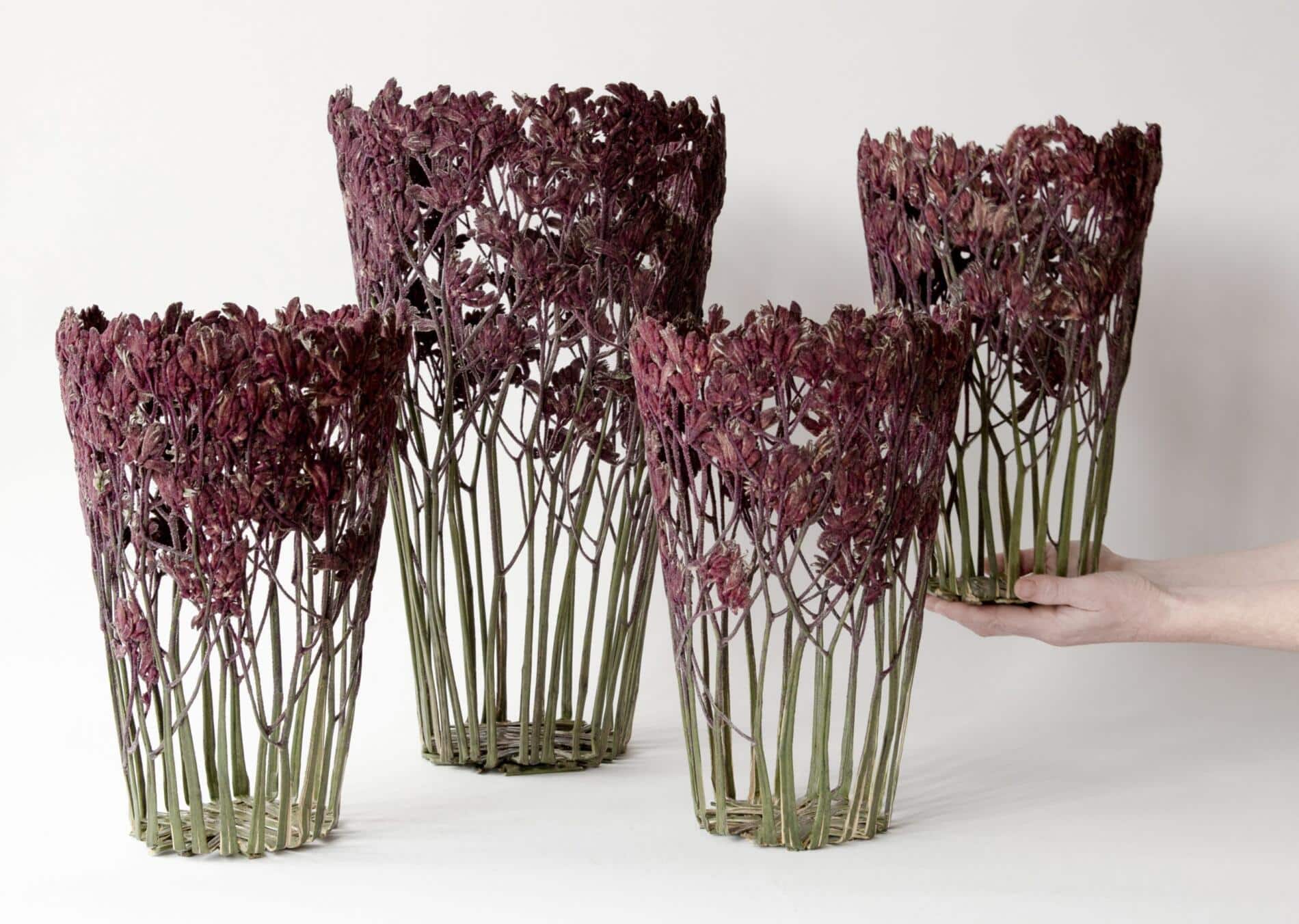 Shannon Clegg escultura biofilica macetas lila