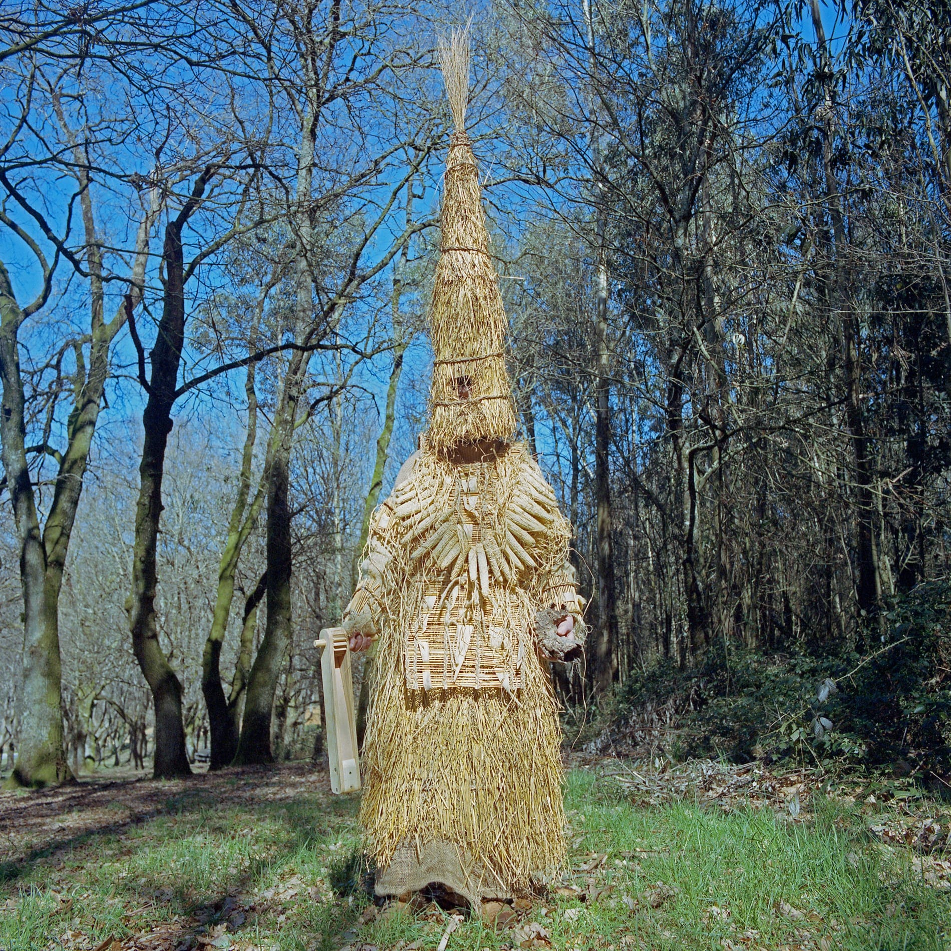roberto de la torre serie mistica microcosmos Chamador, Lalín, Galicia