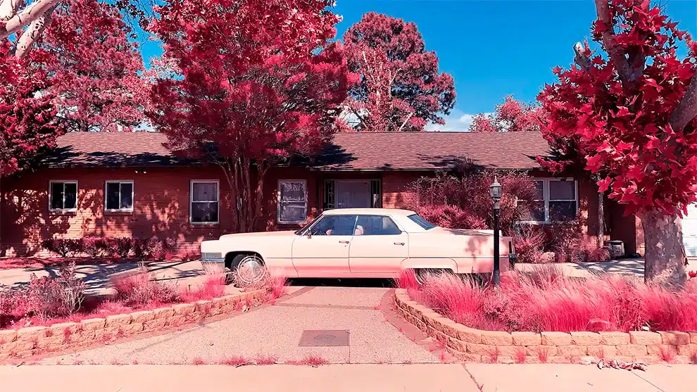 Third place – other. Pink Cadillac