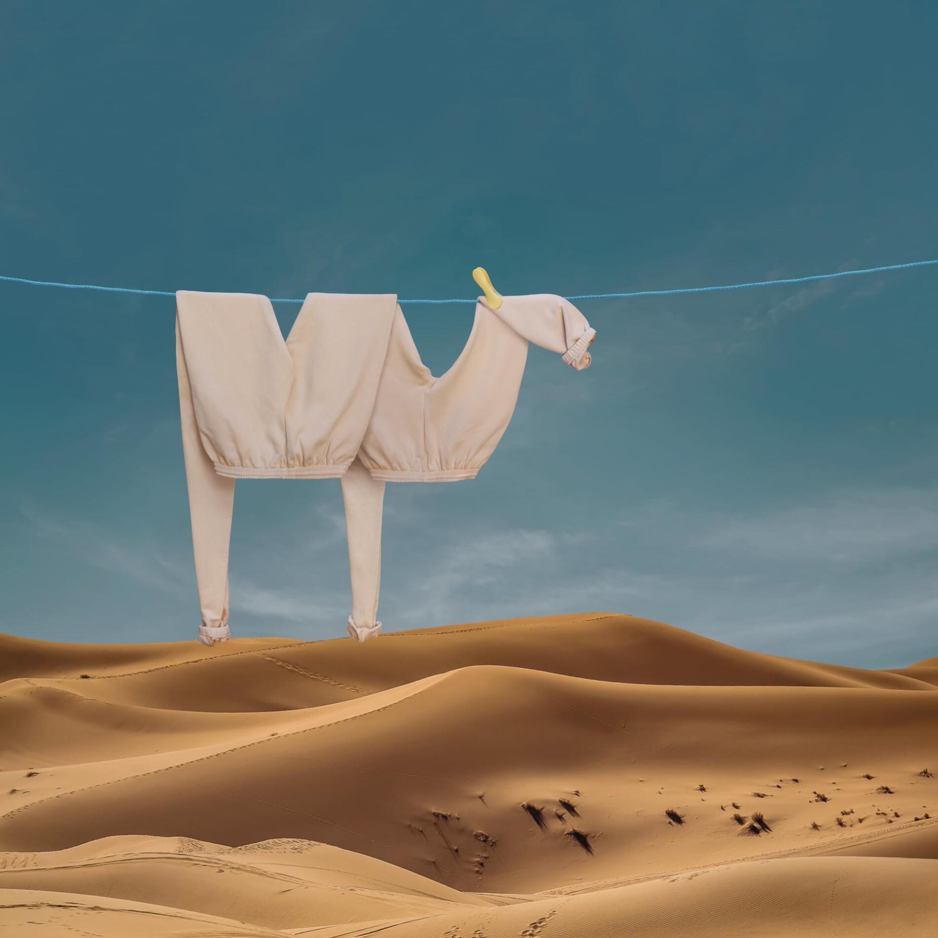 Helga Stentzel fotografia surrealismo domestico camella
