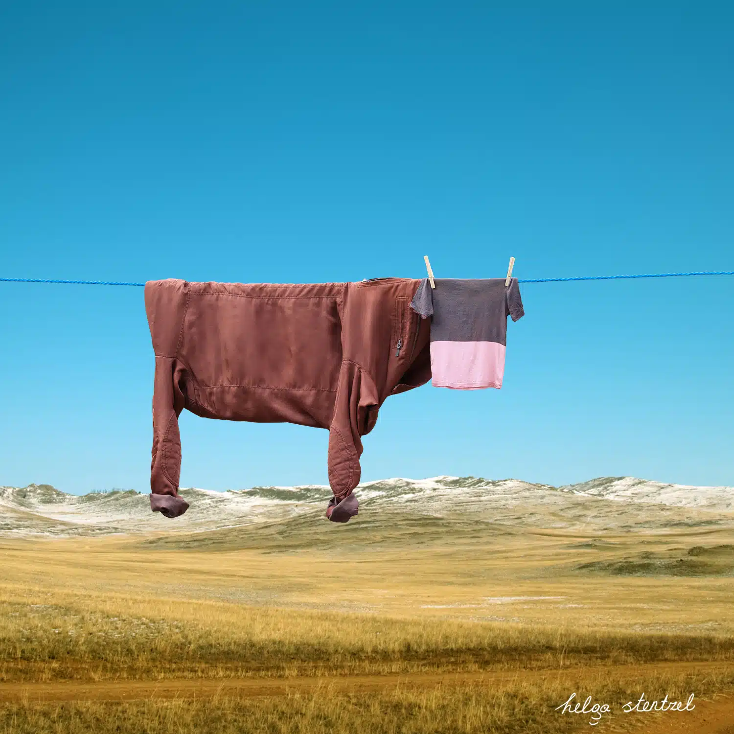 Helga Stentzel fotografia surrealismo domestico vaca