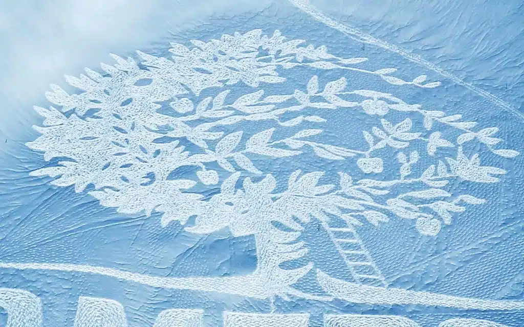 simon bake arte en la nieve arbol