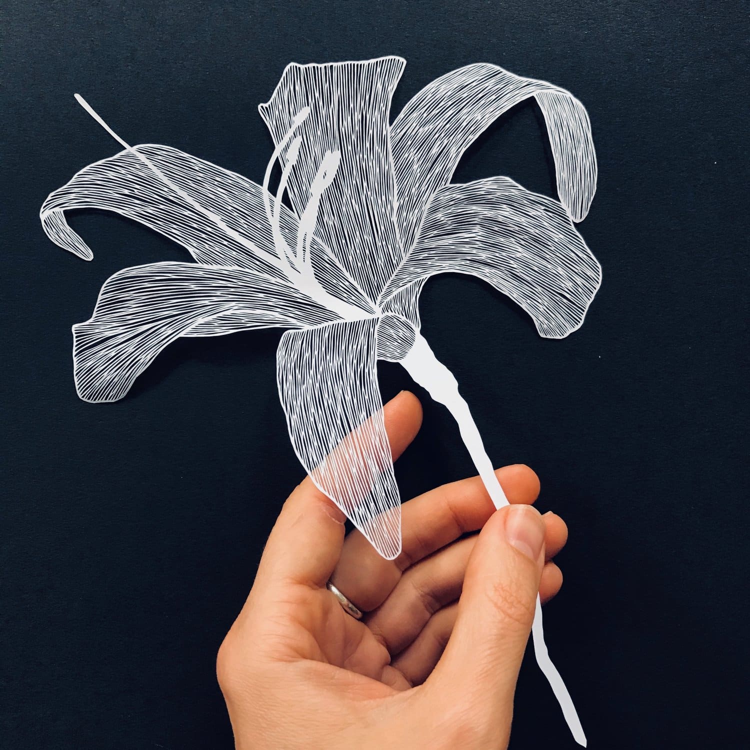 Maude White recortes de papel flora