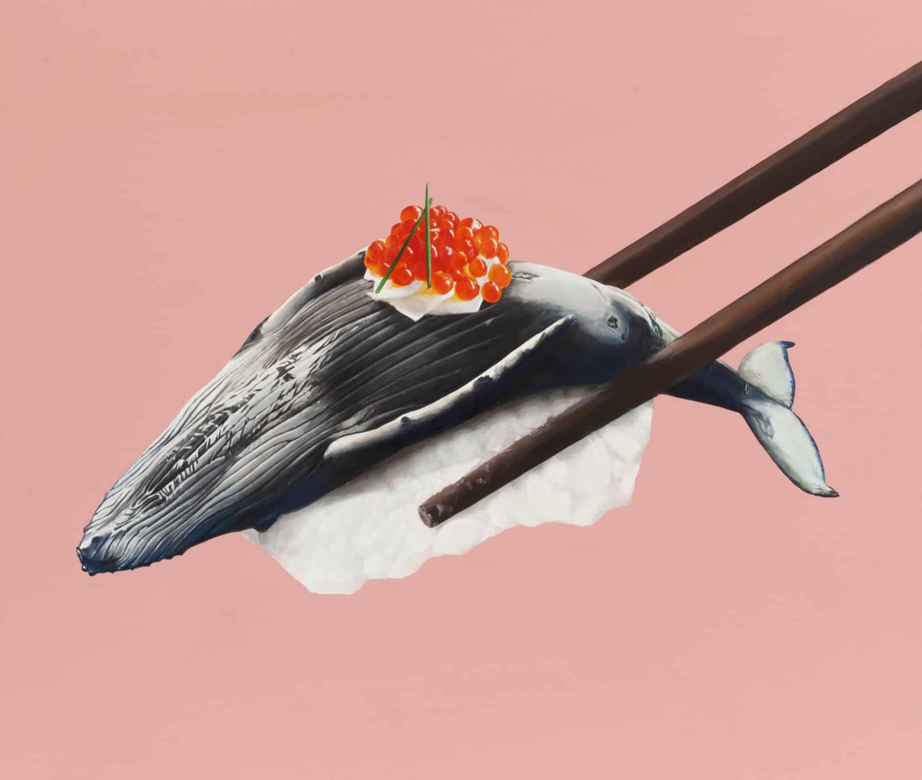 Whale Sushi murmure