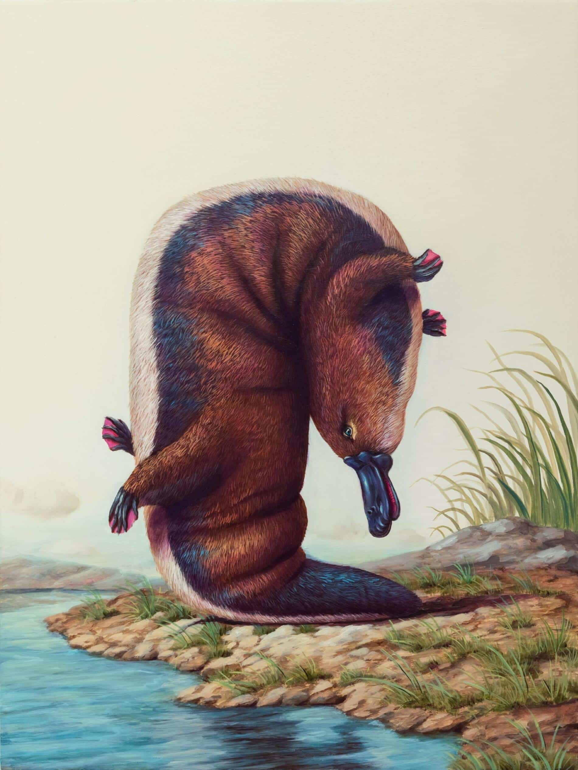 Bruno Pontiroli ointura surreal animales