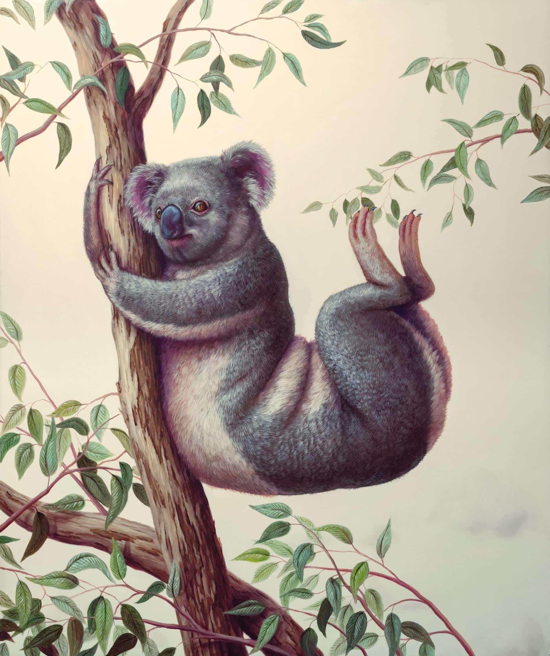 Bruno Pontiroli ointura surreal onitico koala