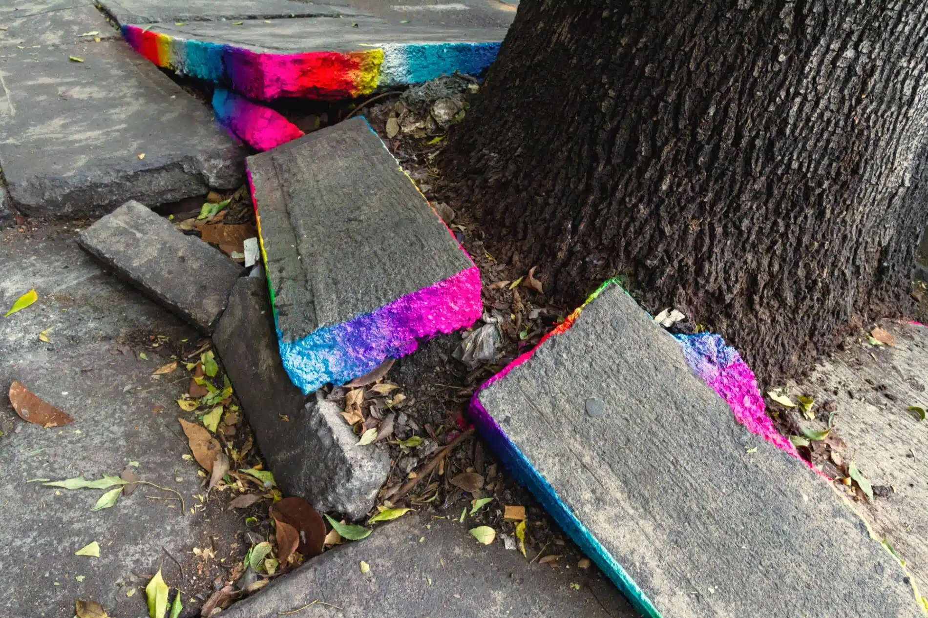 xomatok street art calles de mexico colores asfalto