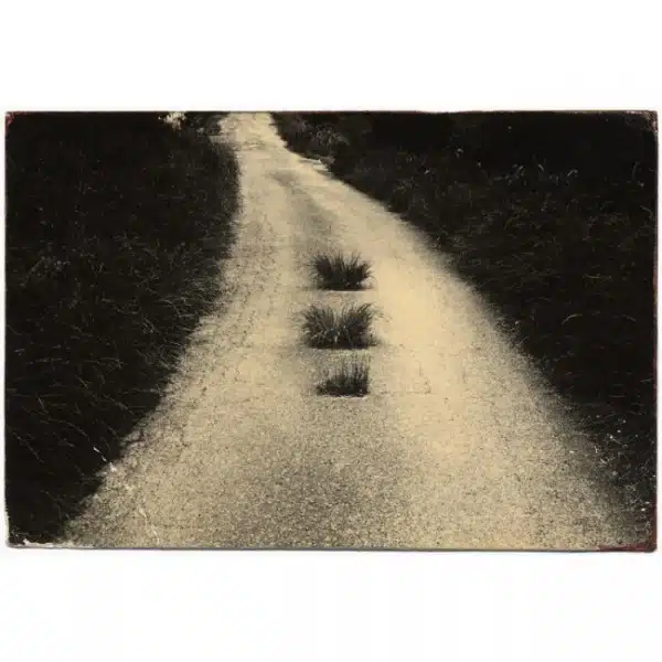 Masao Yamamoto minimal road