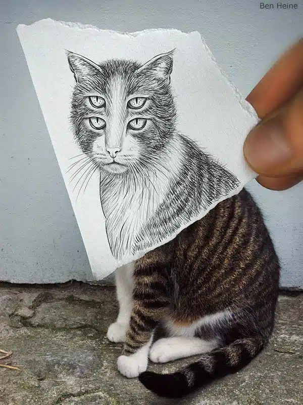 pencil vs camera ben heine cat
