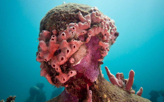 MUSEO JASON DECAIRES TAYLOR CORAL