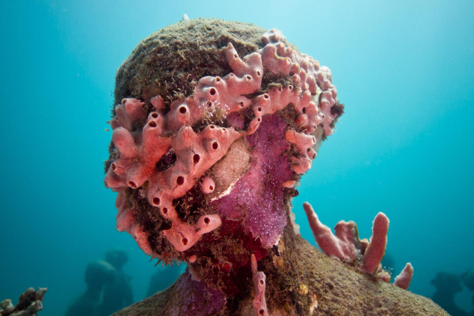 MUSEO JASON DECAIRES TAYLOR CORAL