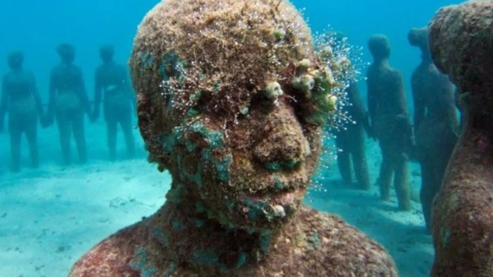 MUSEO JASON DECAIRES TAYLOR NATIONAL GEOGRAPHIC