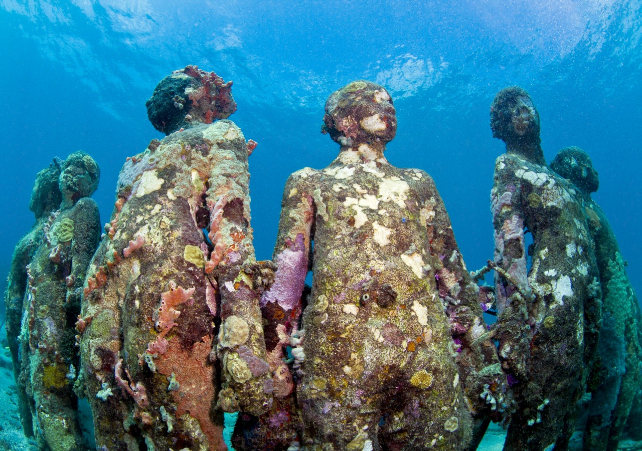 MUSEO JASON DECAIRES TAYLOR