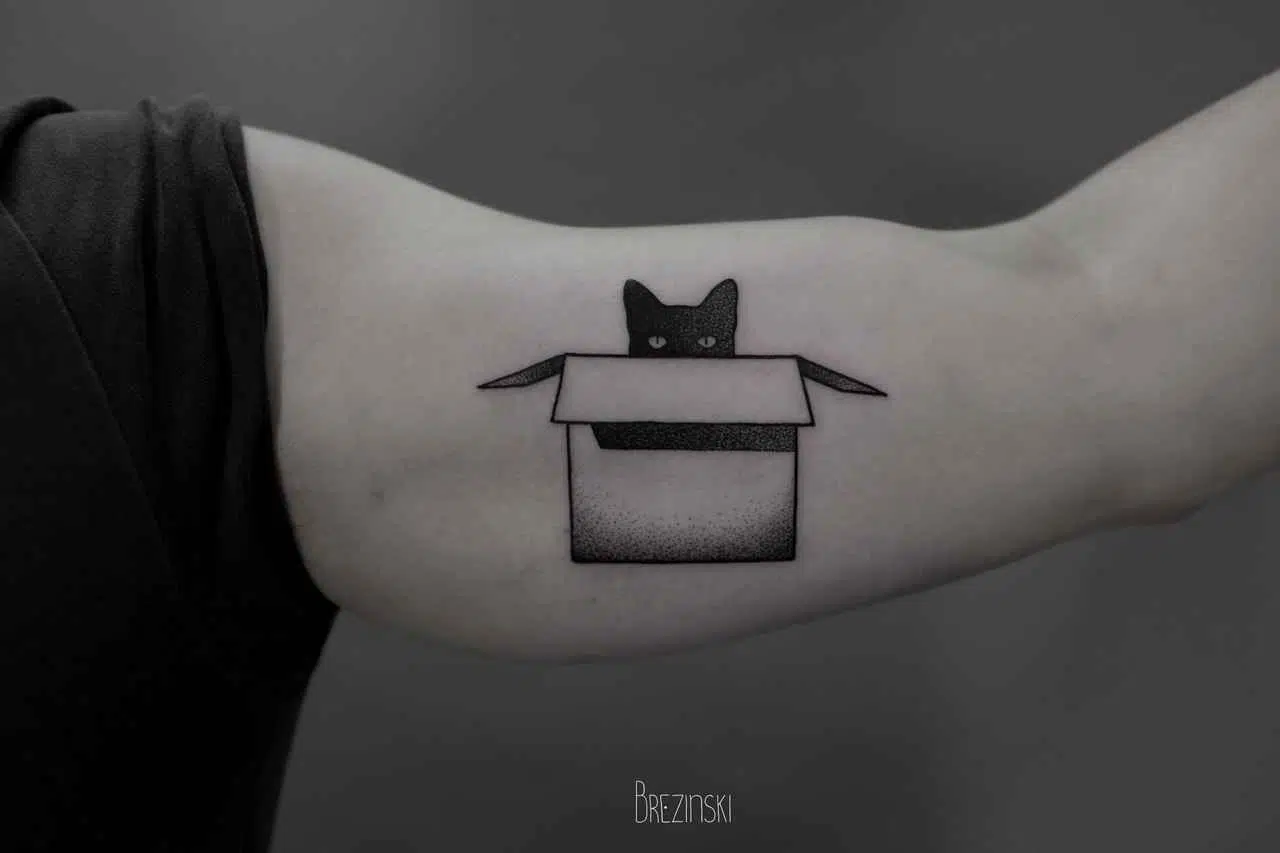 Ilya Brezinski tatuaje gato caja
