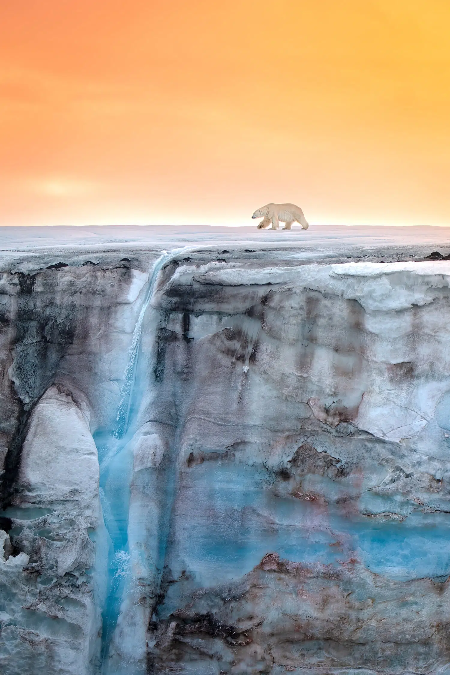 Michael Haluwana, illuminated by the Arctic sun, a polar bear walks across a glacier that is adorned by a waterfall, Arctic